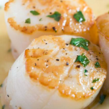 GRILLED SCALLOP