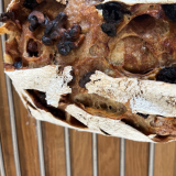 Raisin & Walnut Loaf