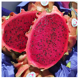 Dragonfruit - ea