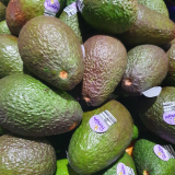 Avocado Special 3