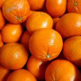 Large Honey Murcott Mandarins