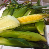 Sweet Corn x  2