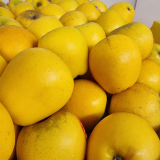 Yello Apple - kg