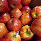 Pink Lady Apple - ea
