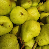 Packham Pear - ea