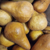 Bosc Pears - ea