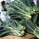 Cavalo Nero - Tuscan Cabbage -bnch