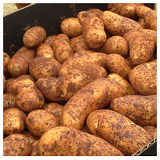 Kipfler Potatoes - 1kg
