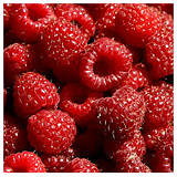 Raspberries - 2 punnets