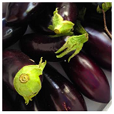 Field grown eggplant - 2 x head