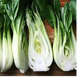 Bok Choy - 2 bnch
