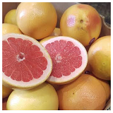 Ruby Grapefruit x 3