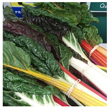 Rainbow Chard - bunch
