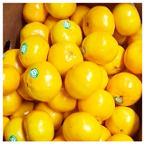 1kg Imperial Mandarins