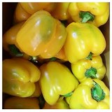 Yellow Capsicums ea.
