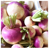 Turnips - bch