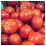 Round Tomatoes - kg