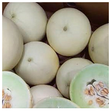Honeydew Melons - ea