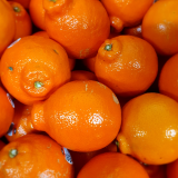 Tangelos - 1kg