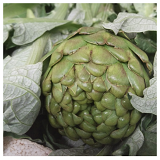 Globe Artichokes x 2ea