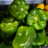 Green capsicum each