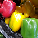 Mixed Capsicums - Red,green,yellow