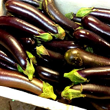 Jap Eggplant - kg
