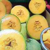 Nth Qld rockmelons Large