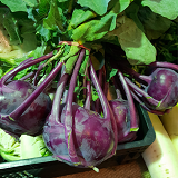 Kohlrabi - bunch