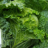 Savoy cabbage - 1/2s