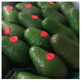 Avocados ea large