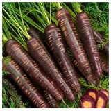 Carrots Purple - 1kg