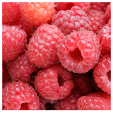 Raspberries - punnet