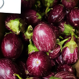 Italian Eggplant - Local - kg