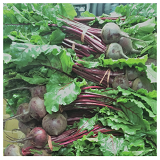 Medium Beetroot x 1 bunch