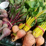 Baby Local Beetroots gold and purple - 2bunch