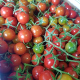 Truss Cherry Tomato - 300g punnet