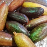 Finger Limes - punnet pf 6