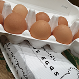 Lake Macquarie Free range Eggs - doz
