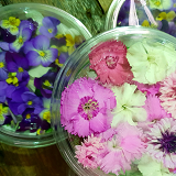Mixed Edible Flowers - pnt