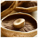 Portobello Mushrooms - 500gm