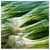Shallot - bunch