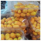 Cumquats 500gms