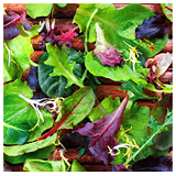 Local Salad Mix - 200gms