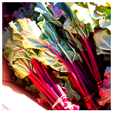 Rhubarb - bnch