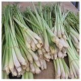 Lemongrass - bnch