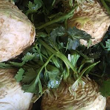 Local Celeriac x 1 head