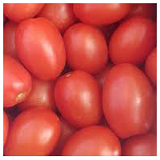Roma Tomatoes - kg