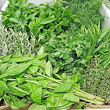Parsley