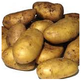 Dutch Cream Potatoes - kg
